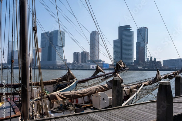 Fototapeta Cityscape of Rotterdam, viewing 'de kop van zuid' from the riverside