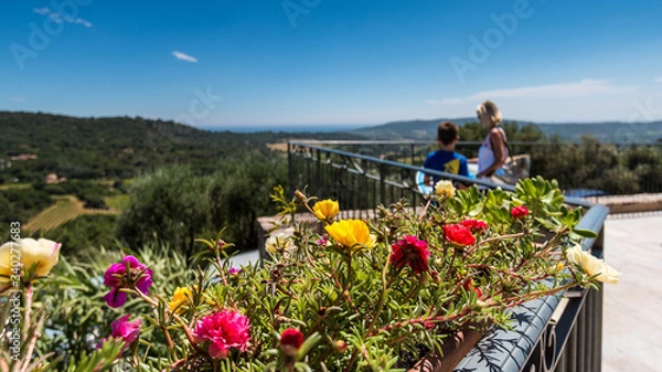 Fototapeta Terrazza con vista mare a Ramatuelle.