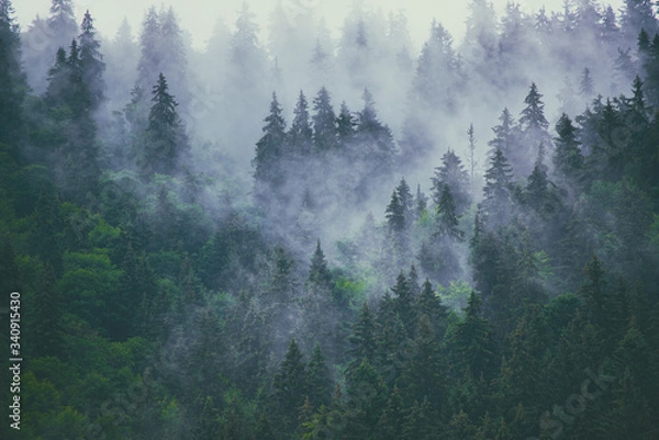 Obraz Misty mountain landscape