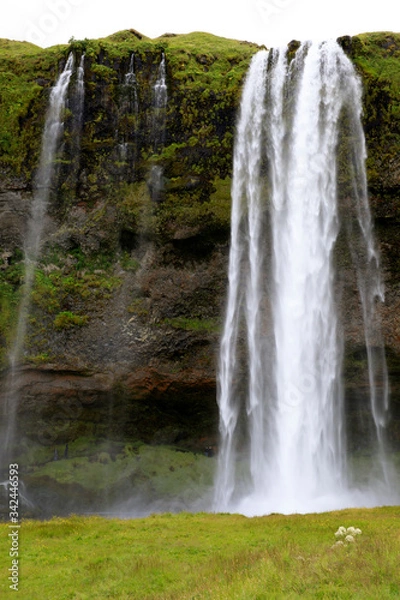 Fototapeta Seljalandsfoss / Iceland - August 15, 2017: Seljalandsfoss one of the most famous Icelandic waterfall, Iceland, Europe