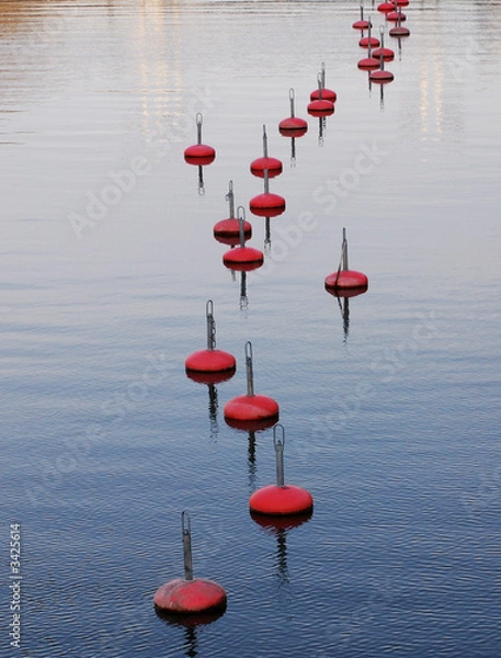 Fototapeta buoys in a row