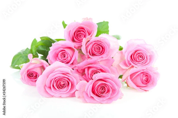 Fototapeta Pile of pink roses over white background