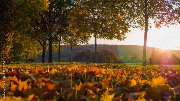 Fototapeta Goldene Herbstlandschaft mit Linsenreflektion und bunten Blättern