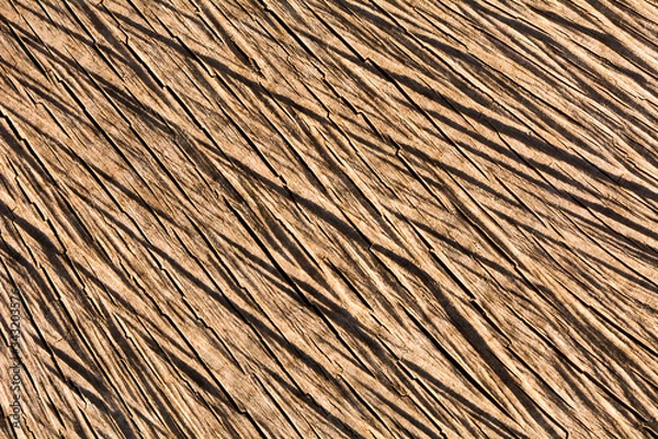 Fototapeta Texture of a wooden surface