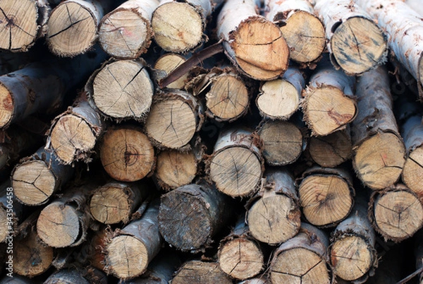 Fototapeta Wood Brown - Abstract Trunk Timber or Log stack that prepare for construction 