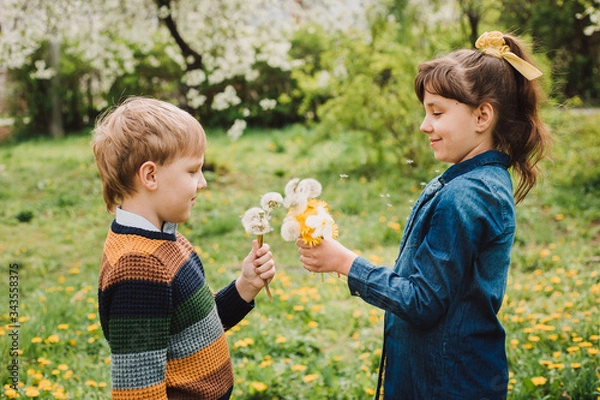 Fototapeta Beautiful girl wearing denim dress stay oppocite the boy with dandelions in the hands. Flowers background. Consept happy childhood