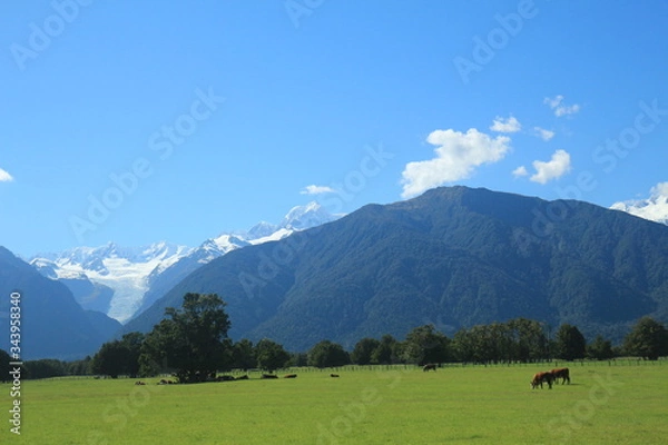 Fototapeta New Zealand