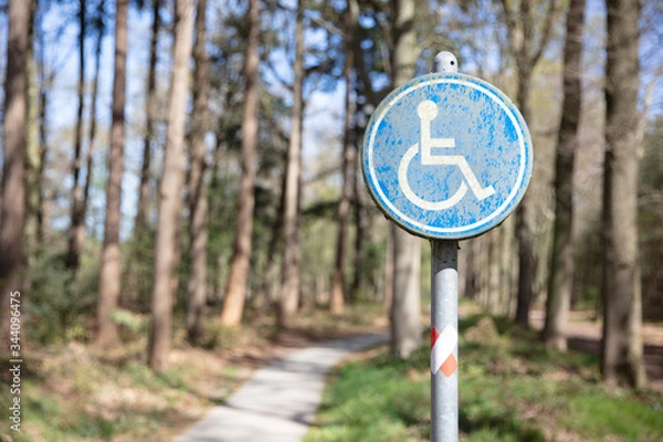 Fototapeta Wheelchair path sign