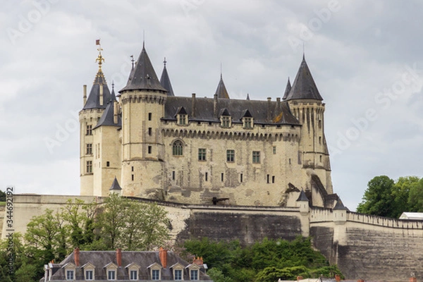 Fototapeta View of Loire valley in France