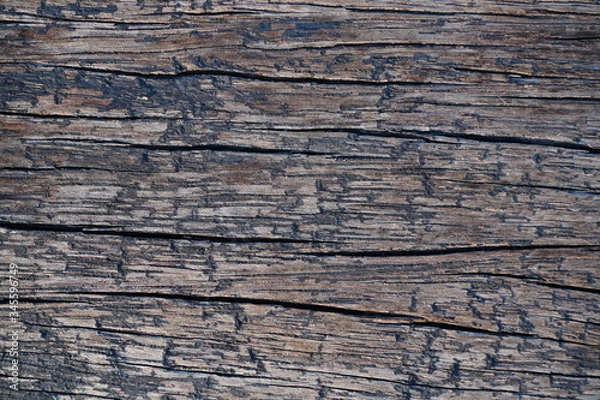 Obraz The old wood texture dark black cracked