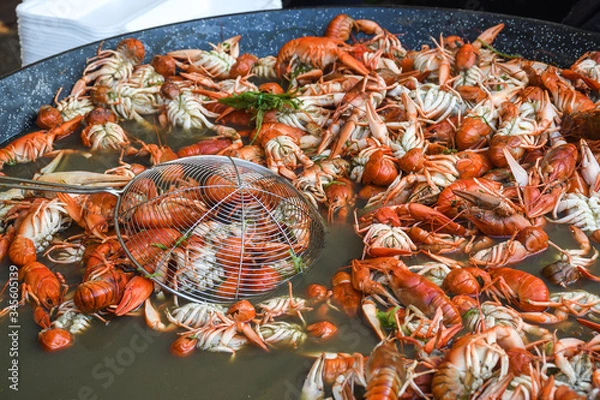 Fototapeta Boiled crawfish, fried crawfish, crawfish étouffée, crawfish beignets. Crayfish or crawdads