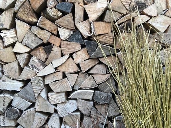 Fototapeta tree branches on the background of chopped firewood