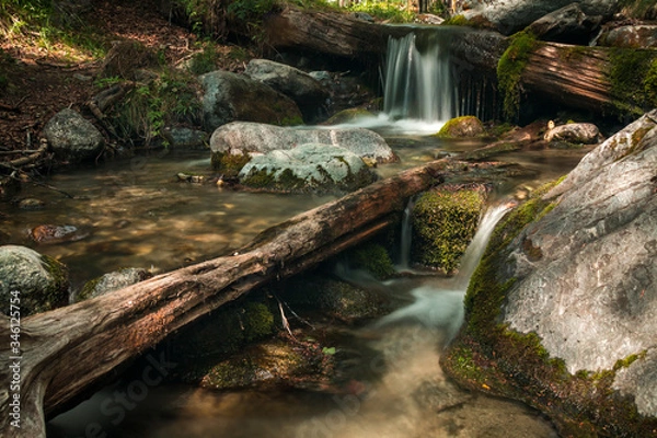 Fototapeta stream, waterfall from the forest