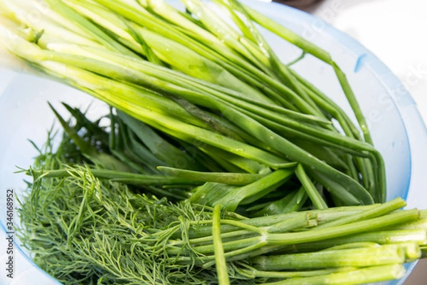 Fototapeta A bunch of fresh greens dill and onion in a blue cup. Healthy and organic farm food