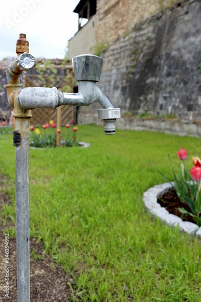 Fototapeta Grüner Garten