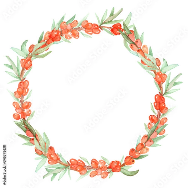 Fototapeta Watercolor hand painted nature healthy circle border frame with orange sea buckthorn berries and green leaves on branches composition on the white background for invite and greeting card