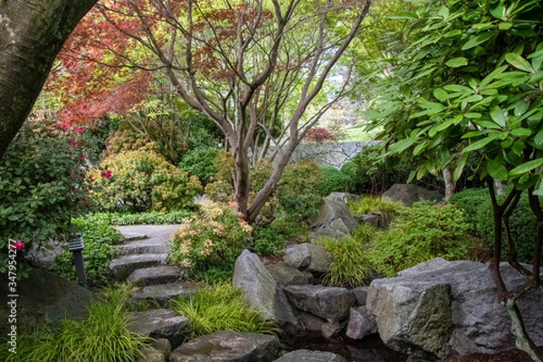 Fototapeta A picture of the pathway in the Japanese garden.   Vancouver  BC  Canada　
