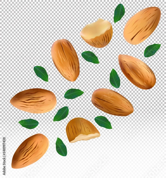 Fototapeta Almonds nuts with green leaf on transparent background. Almond flying from different angles. 3D realistic nuts rich in vitamins. Natural product. Vector illustration.