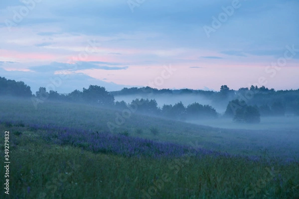 Fototapeta Misty hills overgrown with trees against the backdrop of a fading sunset.