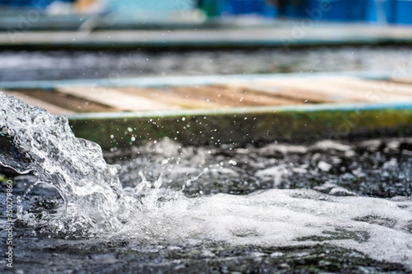 Fototapeta Water flow treatment system from the water pump pipe.Motion of water gushing out of the pipe from Koi Pond Carp fish farm for oxygen.Water was drain by tube pvc.Industrial wastewater treatment.