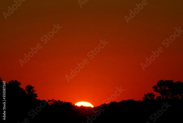 Fototapeta atardecer y arbol algarrobo