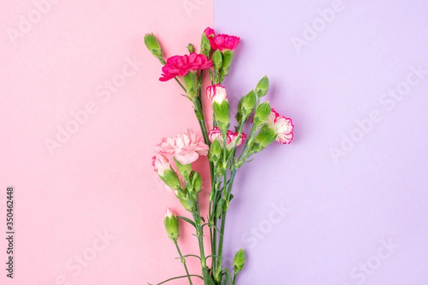 Obraz bouquet of different pink carnation flowers on double colorful background Top view Flat lay Holiday card 8 March, Happy Valentine's day, Mother's day concept