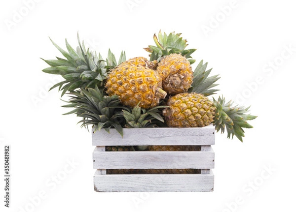 Fototapeta Pineapple fruits in wooden box isolated on white background