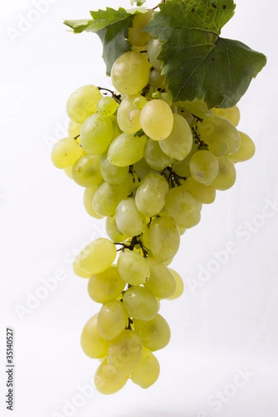 Fototapeta fresh grape fruits with green leaves on white background