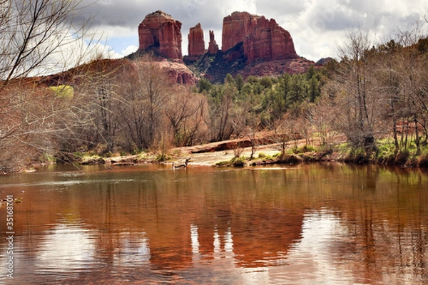 Fototapeta Cathedral Rock Canyon Oak Creek Reflection Sedona Arizona