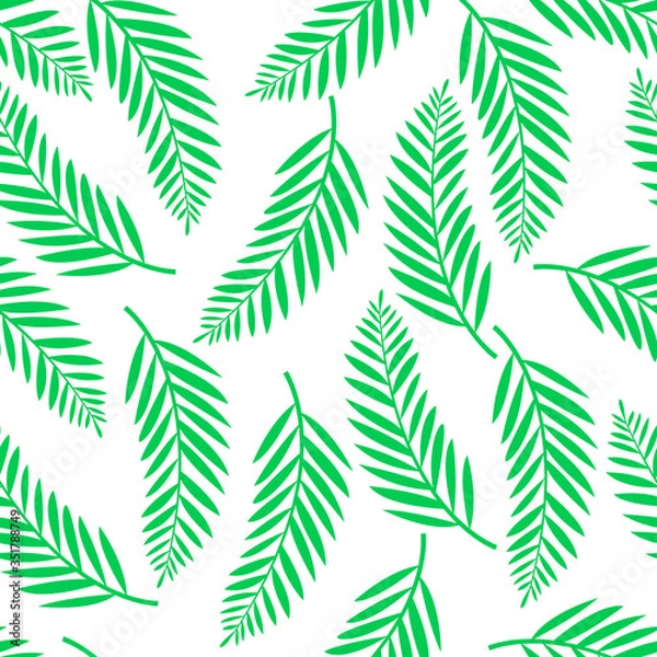 Fototapeta Seamless pattern with tropical palm leaves  on white background. Botanical illustration