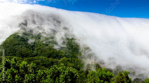 Fototapeta Landscape of clouds and fog covering jungle forest on the mountain side