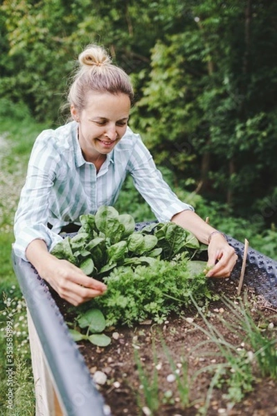 Fototapeta beautiful blond woman posing next to raised garden bed and her fresh vegetables