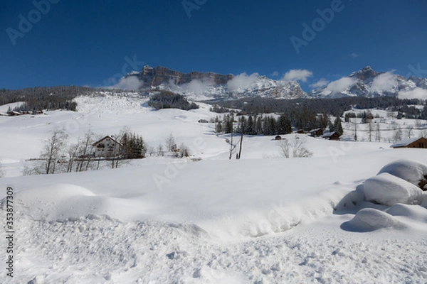 Fototapeta Beautiful Day in the Mountains with Snow-covered Fir Trees and a Snowy Mountain Panorama