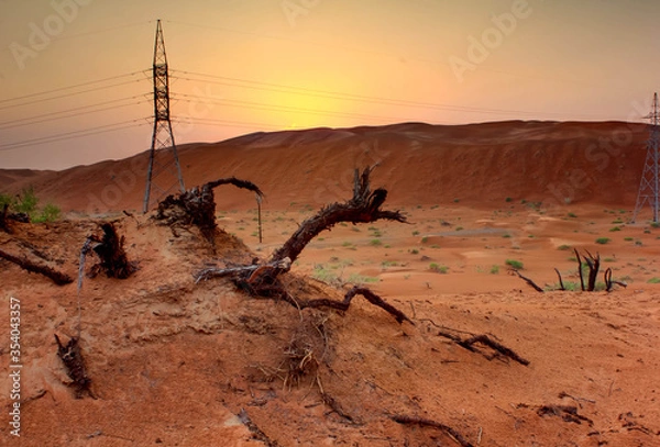 Fototapeta Desert landscape