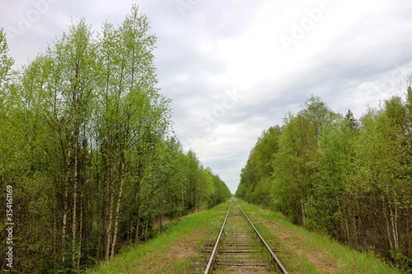 Fototapeta spring landscape with abandoned railway in the forest overgrown with grass and flowers