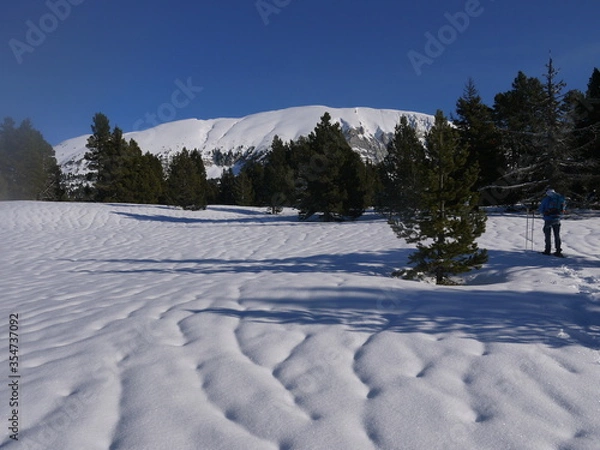 Fototapeta Vue sur le Grand Vémon sur plateau du Vercors dans le neige