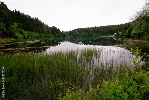 Fototapeta beautiful reflection photo in Lake shavshat