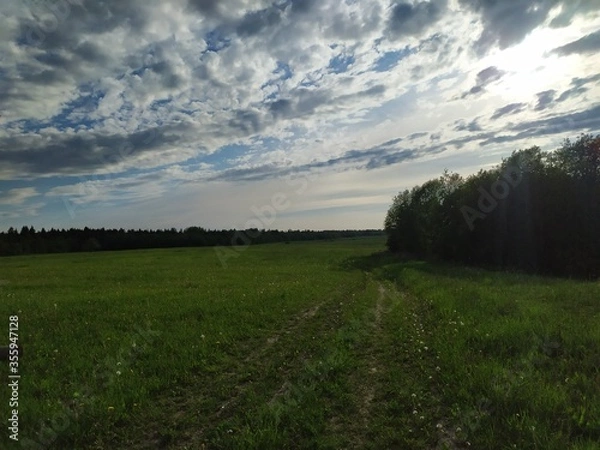 Fototapeta sunset in the field