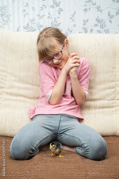 Fototapeta little girl admires a little chick