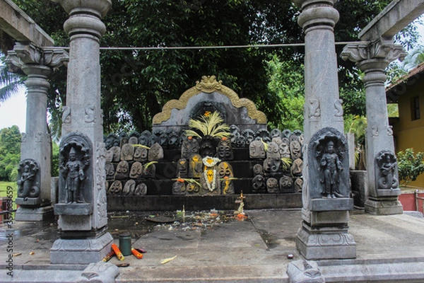 Fototapeta Statues of Naga Devta (Nag Dev) or Serpent God, Worshipped in South India. Naga-Panchami. Kul Devata. Local God. South Indian Temple. Black Granite Sculpture, Mangalore. Naag Mandir. Tulu Nadu. Many.