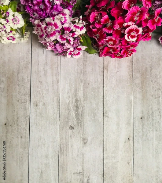 Fototapeta Sweet william flowers on wooden surface shot from above. Top view, flat lay, copy space. Greeting card, Mother's day and Valentine's day concept.