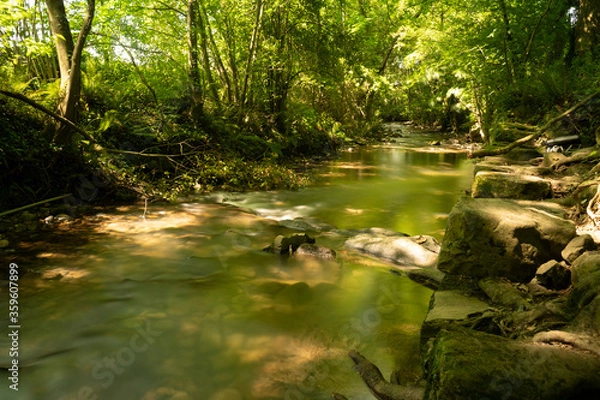 Obraz arrazola river in summer