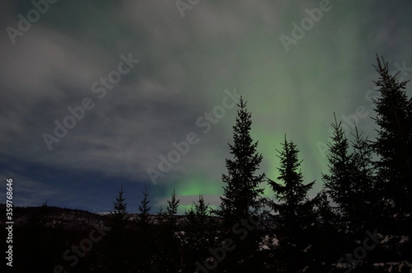 Fototapeta majestic aurora borealis in arctic circle winter landscape