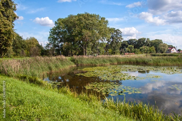 Fototapeta Park w Radzyniu Podlaskim przy Pałacu Potockich