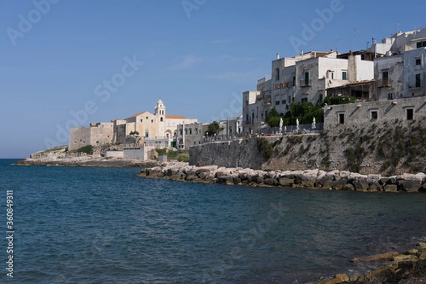 Fototapeta Panoramic view of old town of Vieste, Gargano peninsula, Apulia region, South of Italy