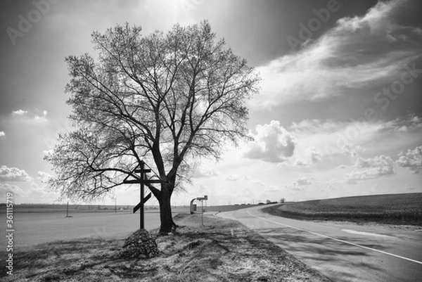 Fototapeta The road at the entrance to the Slavic village, view from the village, black&white