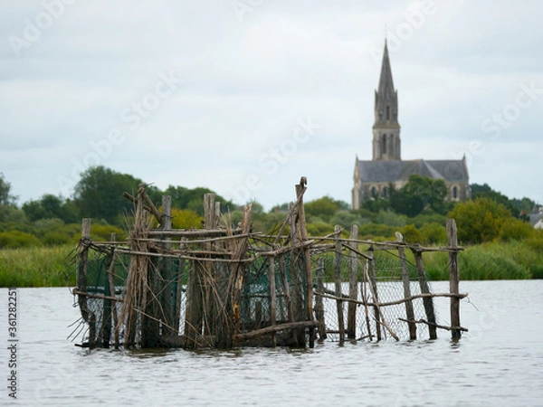 Fototapeta Clocher vu du marais