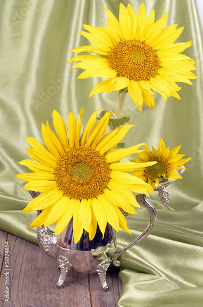 Fototapeta Decanter with sunflower