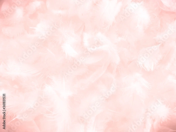 Fototapeta Beautiful abstract white and pink feathers on white background and soft white feather texture on pink pattern and pink background, feather background, pink banners