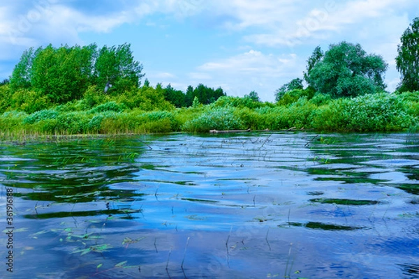 Fototapeta Bluewater of the wild lake with sky reflection in the forest